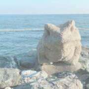 ヒメ日記 2025/01/06 01:01 投稿 みみ プールサイド