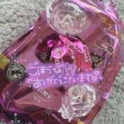 ヒメ日記 2025/02/18 09:10 投稿 みみ プールサイド