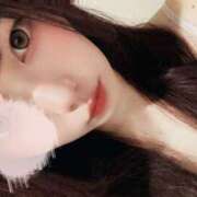 ヒメ日記 2025/10/30 18:48 投稿 みみ プールサイド