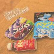 ヒメ日記 2026/03/25 10:43 投稿 みみ プールサイド