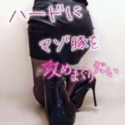 ヒメ日記 2025/04/04 17:27 投稿 こはる 変態なんでも鑑定団