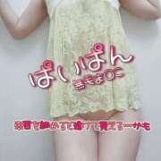 ヒメ日記 2025/05/02 21:56 投稿 こはる 変態なんでも鑑定団