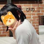 ヒメ日記 2025/05/31 12:00 投稿 ぴの 無我（むが）