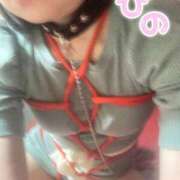 ヒメ日記 2025/08/24 10:49 投稿 ぴの 無我（むが）