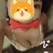 ヒメ日記 2025/11/05 08:03 投稿 ぴの 無我（むが）