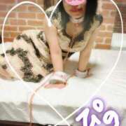 ヒメ日記 2025/11/07 12:03 投稿 ぴの 無我（むが）