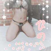 ヒメ日記 2025/11/21 06:45 投稿 ぴの 無我（むが）