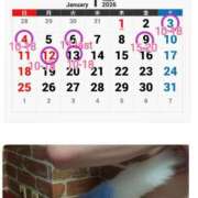 ヒメ日記 2025/12/19 06:00 投稿 ぴの 無我（むが）