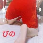 ヒメ日記 2025/12/25 09:45 投稿 ぴの 無我（むが）