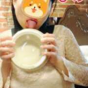 ヒメ日記 2026/01/19 08:22 投稿 ぴの 無我（むが）