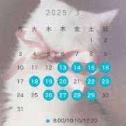 ヒメ日記 2025/03/12 10:44 投稿 芹澤　きこ AZITO V.I.P