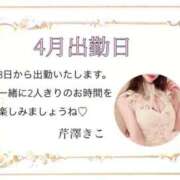 ヒメ日記 2025/03/31 08:41 投稿 芹澤　きこ AZITO V.I.P