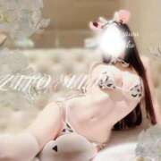 ヒメ日記 2025/05/12 08:41 投稿 芹澤　きこ AZITO V.I.P