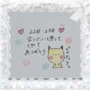 ヒメ日記 2025/06/24 10:52 投稿 芹澤　きこ AZITO V.I.P