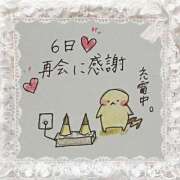 ヒメ日記 2025/07/07 20:50 投稿 芹澤　きこ AZITO V.I.P