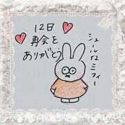 ヒメ日記 2025/07/12 19:12 投稿 芹澤　きこ AZITO V.I.P