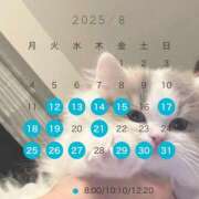 ヒメ日記 2025/08/11 17:32 投稿 芹澤　きこ AZITO V.I.P