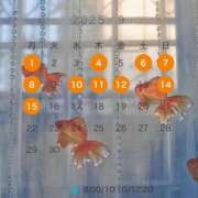 ヒメ日記 2025/08/26 10:01 投稿 芹澤　きこ AZITO V.I.P