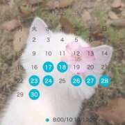 ヒメ日記 2025/09/13 06:59 投稿 芹澤　きこ AZITO V.I.P