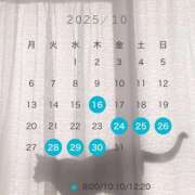 ヒメ日記 2025/10/14 12:05 投稿 芹澤　きこ AZITO V.I.P