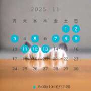 ヒメ日記 2025/11/01 15:31 投稿 芹澤　きこ AZITO V.I.P