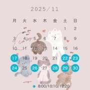 ヒメ日記 2025/11/14 10:45 投稿 芹澤　きこ AZITO V.I.P