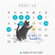 ヒメ日記 2025/11/25 11:24 投稿 芹澤　きこ AZITO V.I.P