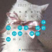 芹澤　きこ 🦋シフトのお知らせ🦋 AZITO V.I.P