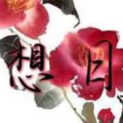 ヒメ日記 2025/12/20 21:37 投稿 芹澤　きこ AZITO V.I.P