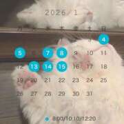 ヒメ日記 2025/12/22 13:26 投稿 芹澤　きこ AZITO V.I.P