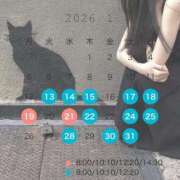 ヒメ日記 2026/01/11 18:19 投稿 芹澤　きこ AZITO V.I.P