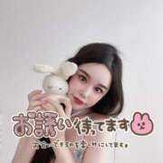 芹澤　きこ 🦋用意万端🦋 AZITO V.I.P