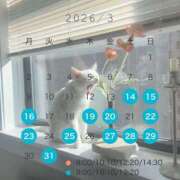 ヒメ日記 2026/03/12 06:15 投稿 芹澤　きこ AZITO V.I.P