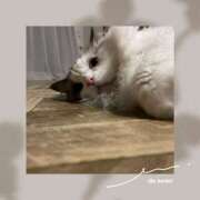 ヒメ日記 2026/04/09 20:25 投稿 芹澤　きこ AZITO V.I.P