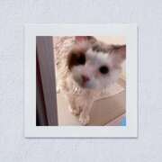 ヒメ日記 2026/07/14 15:35 投稿 芹澤　きこ AZITO V.I.P