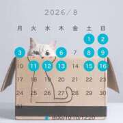芹澤　きこ 🦋8月もよろしくお願いします🦋 AZITO V.I.P