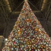 ヒメ日記 2024/12/07 21:04 投稿 永瀬 みすず Men's relaxation VEGA