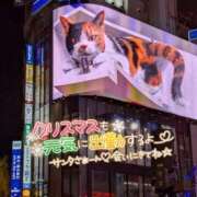 ヒメ日記 2024/12/22 18:23 投稿 【熟女】こよみ 人妻華道－上田店