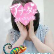 ヒメ日記 2025/05/08 02:16 投稿 【熟女】こよみ 人妻華道－上田店