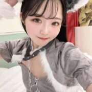 ヒメ日記 2024/12/29 16:29 投稿 のぞみん まだ舐めたくて学園渋谷校〜舐めたくてグループ〜