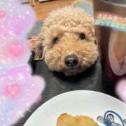 ヒメ日記 2025/03/09 21:50 投稿 夢野 熟女の風俗最終章　鶯谷店