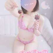 ヒメ日記 2025/03/08 12:21 投稿 しおん 名古屋回春性感マッサージ倶楽部
