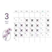 ヒメ日記 2025/03/26 21:25 投稿 しおん 名古屋回春性感マッサージ倶楽部