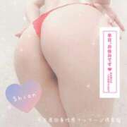 ヒメ日記 2025/11/08 17:34 投稿 しおん 名古屋回春性感マッサージ倶楽部