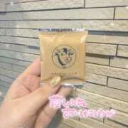 ヒメ日記 2025/12/24 19:19 投稿 しおん 名古屋回春性感マッサージ倶楽部