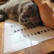 ヒメ日記 2026/02/25 11:19 投稿 ゆいな 名古屋回春性感マッサージ倶楽部