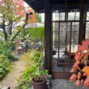 ヒメ日記 2024/12/14 07:01 投稿 ゆうな 名古屋回春性感マッサージ倶楽部