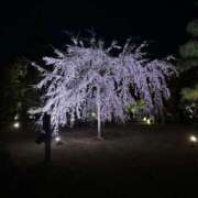 ヒメ日記 2025/04/09 18:56 投稿 ゆうな 名古屋回春性感マッサージ倶楽部