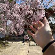 ヒメ日記 2025/04/15 21:25 投稿 ゆうな 名古屋回春性感マッサージ倶楽部