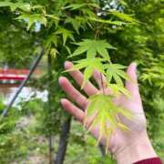 ヒメ日記 2025/05/05 19:21 投稿 ゆうな 名古屋回春性感マッサージ倶楽部